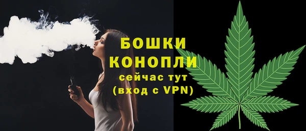 соль ск Дмитровск