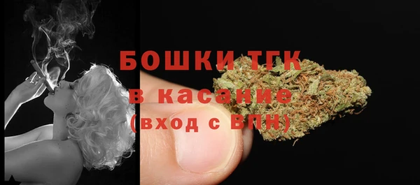 соль ск Дмитровск