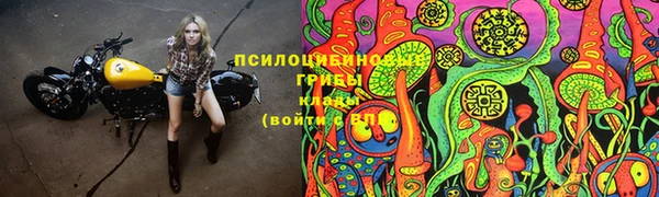 соль ск Дмитровск