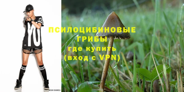 прущая мука Дмитриев