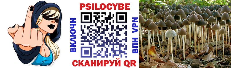 Купить где  Сусуман  Галлюциногенные грибы мицелий 